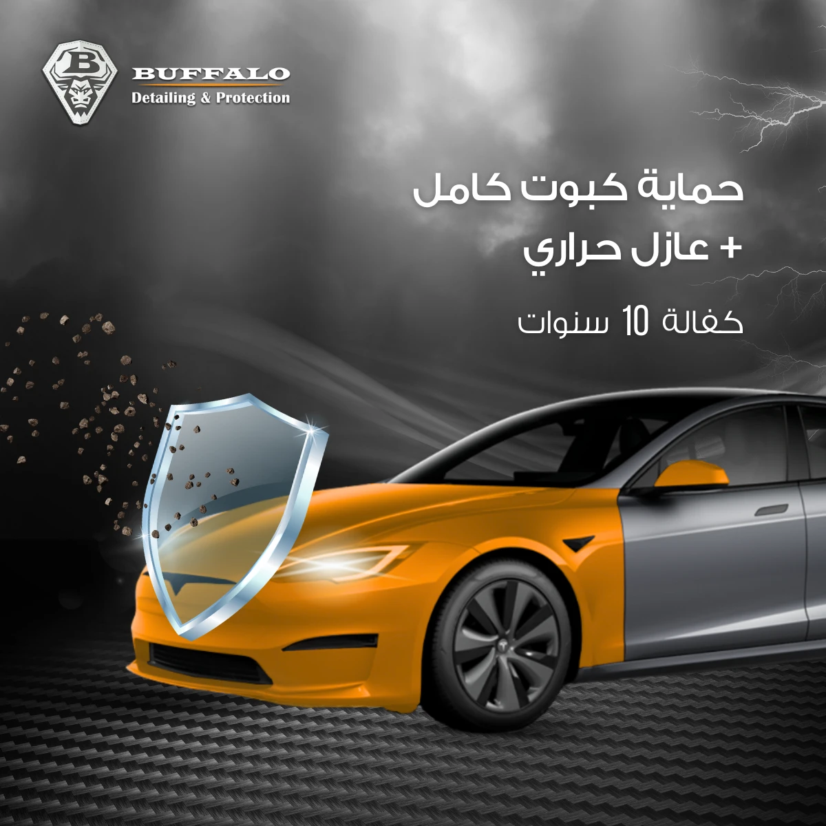 Hood Protection - Full Coverage - BUFFALO